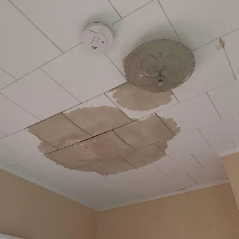 Ceiling Water Damage Repair in Linton, IN
