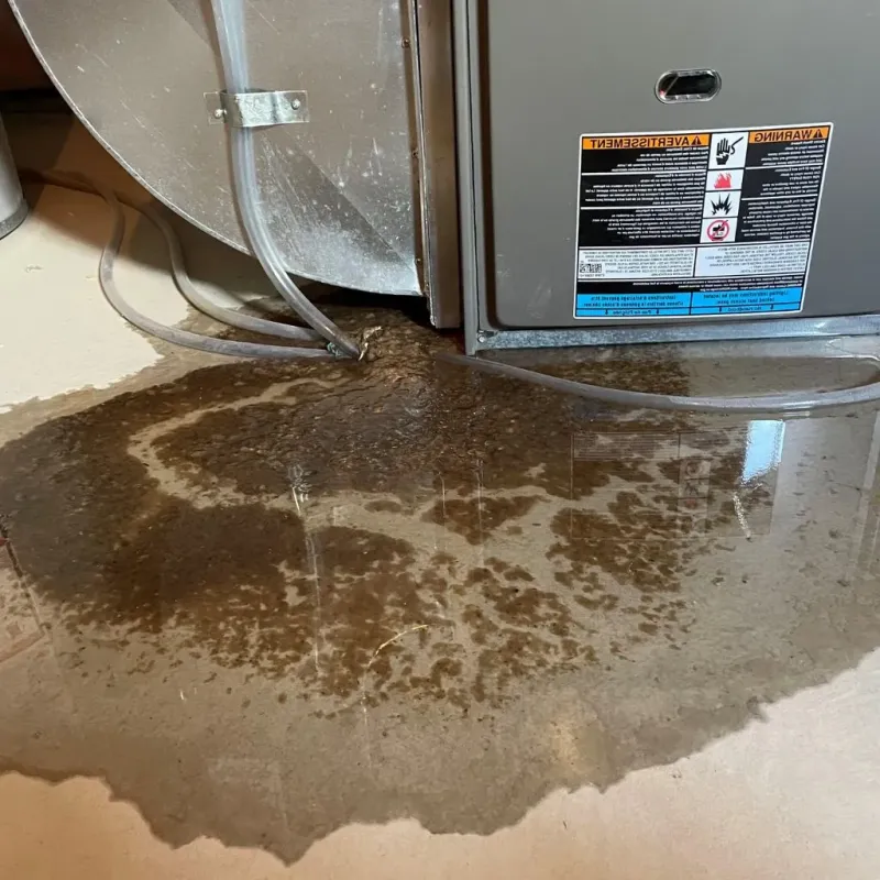 Pipe Burst and Leak Restoration in Linton, IN