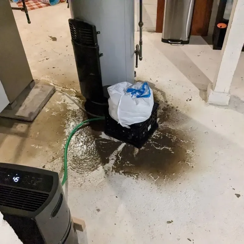 Sewage Backup Cleanup Service in Linton, IN
